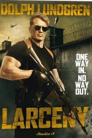 Larceny (2017) HD