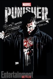 Marvel’s The Punisher