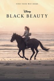 Black Beauty (2020)