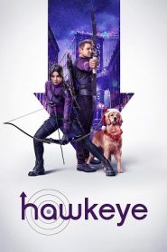 Hawkeye: Sezoni 1